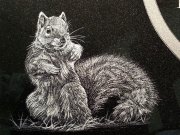 engravings-15