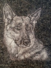 engravings-16