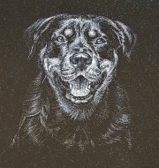 engravings-24