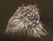 engravings-25