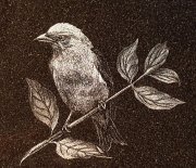 engravings-35