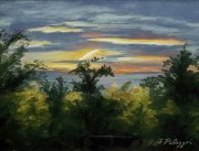landscapes-04
