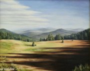 landscapes-18