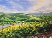 landscapes-20