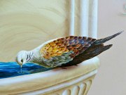 murals-35