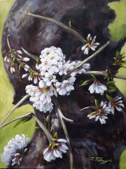 still_life_and_florals-05