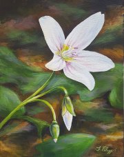 still_life_and_florals-06