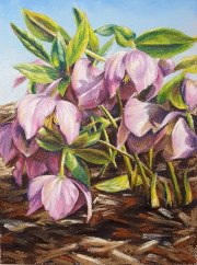 still_life_and_florals-07