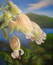 still_life_and_florals-09